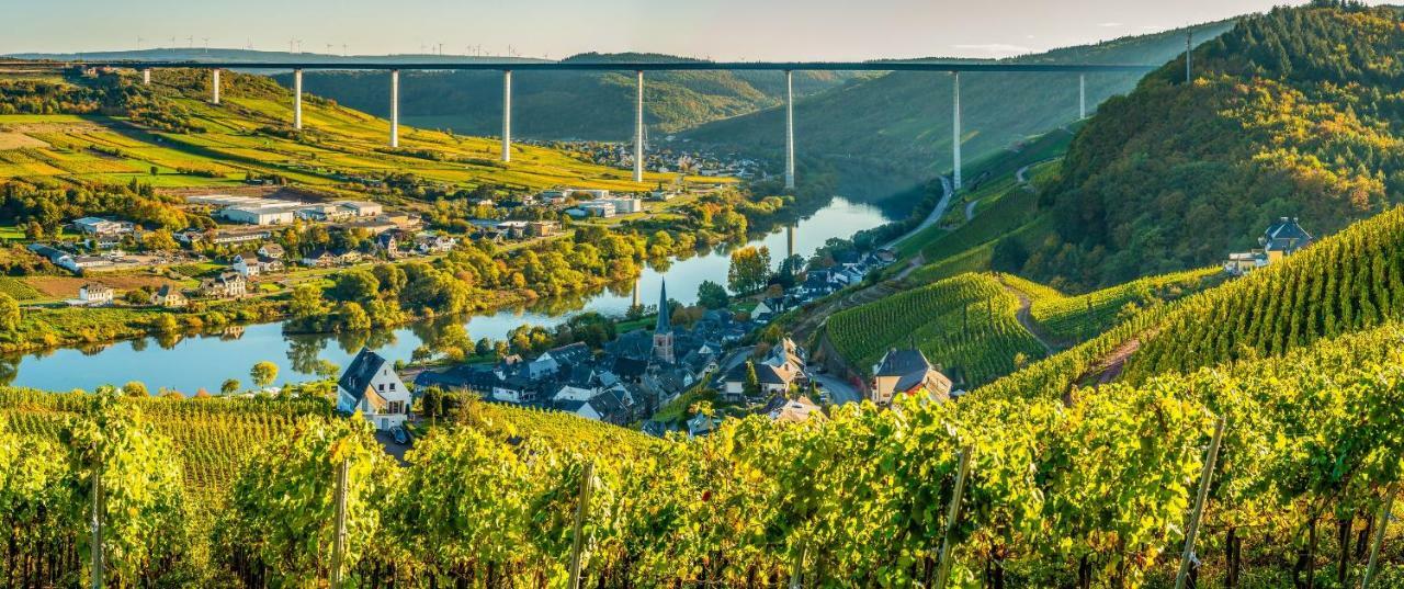Ferienhaus Am Moselsteig 乌尔齐希 外观 照片